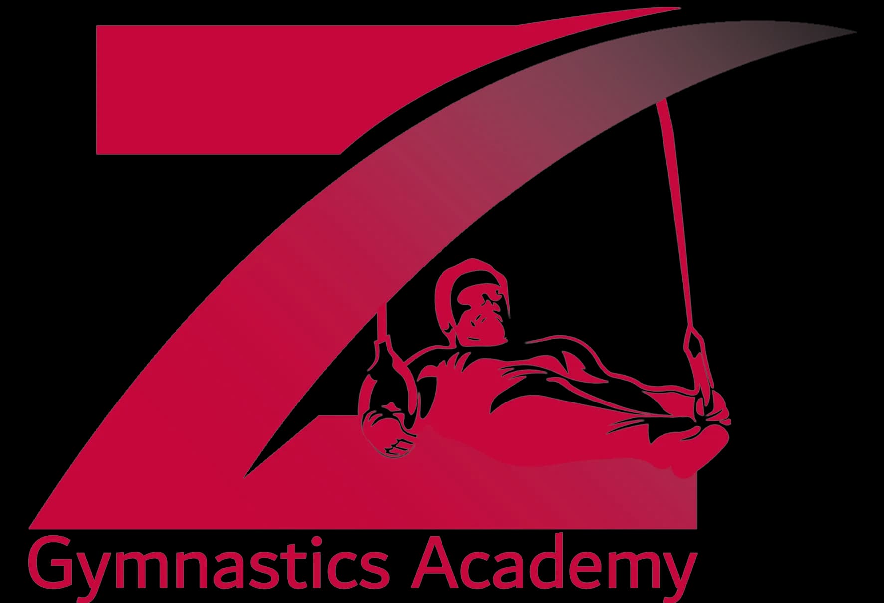 Z Gymnastics Academy